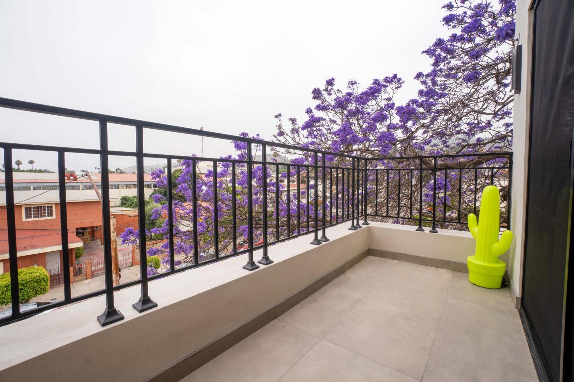 Suites Miramar14 Ensenada Ngoại thất bức ảnh